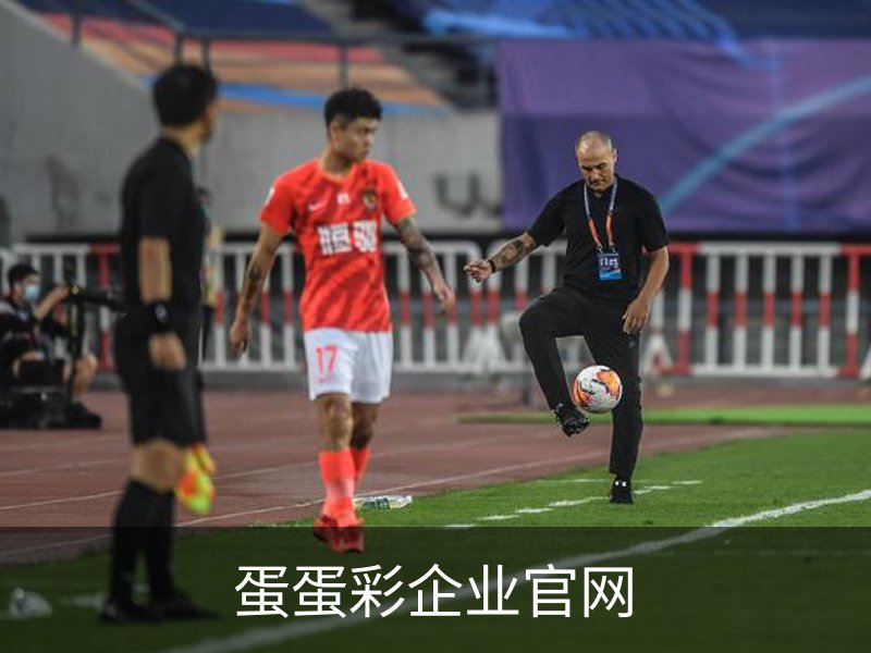 蛋蛋彩企业官网概况